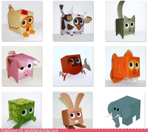 Animal Boxes for Kids: Engaging and Educational Fun