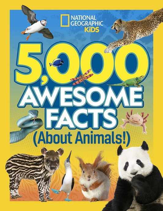 AnimalAllies: Exploring the Animal Kingdom with Curiosity and Care