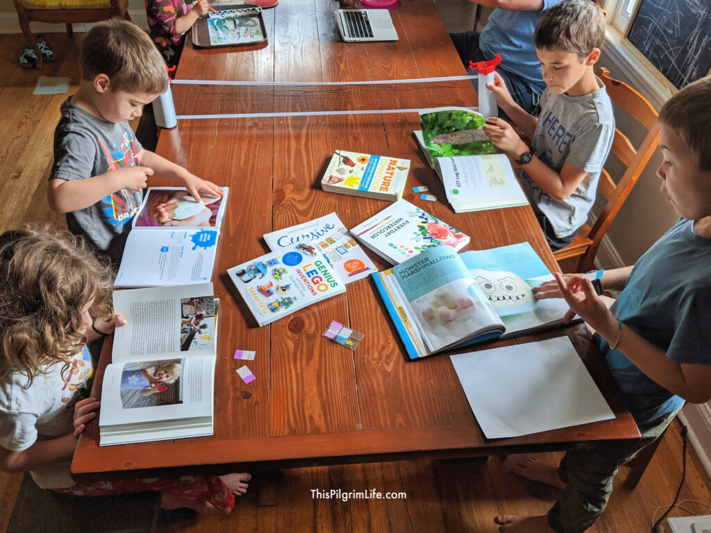 EduFun Adventures: Blending Learning with Play in Kids' Activity Books