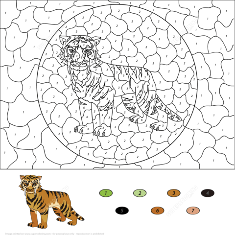 Activity Book- Coloring and Activity Pages